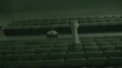 Remi Gaillard Giraffe