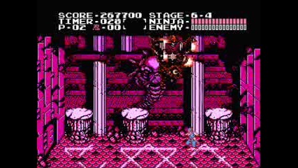 Ninja gaiden boss run 