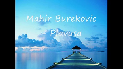 Mahir Burekovic - Plavusa
