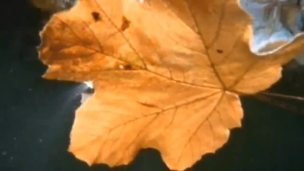 Romantic Piano Autumn In My Heart Ost