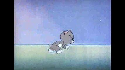 tom and jerry