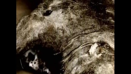 Животът след хората Част 1 ( Сезон 1 Епизод 1 ) 3 части 