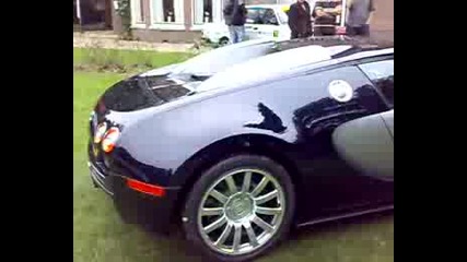 Bugatti Veyron At Iva Driebergen Holland