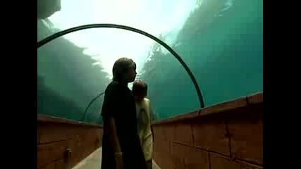 Cole And Dylan Sprouse In Atlantis 