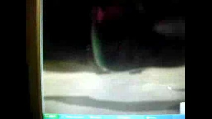 shrek (parodia)