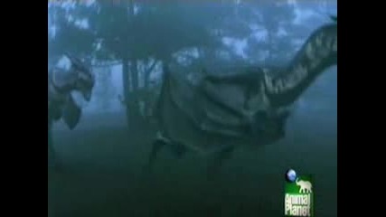 Dragons, A Fantasy Made Real - Part 3