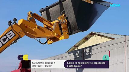 Реколтата е добра, но сметките не излизат: Какво тревожи зърнопроизводителите