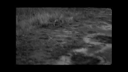 Behemoth - Inner Sanctum (official Video)