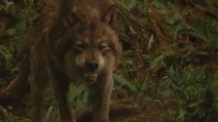 new moon trailer event tv spot 