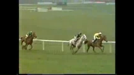 Desert Orchid 1989 Cheltenham Gold Cup.flv