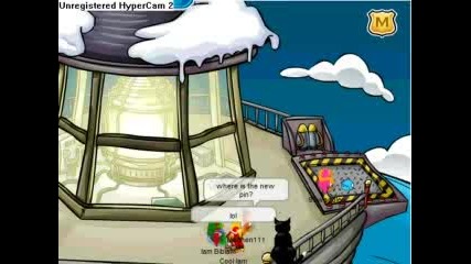 Club Penguin - A Big Cat