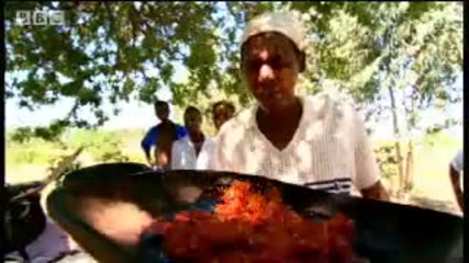Sharing Food in the sun - Human Race - Bbc 