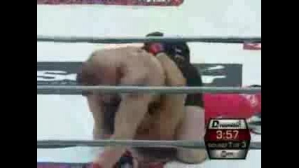 Brock Lesnar - Mma Debut