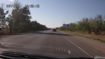 Овцы на дороге