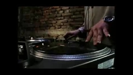 Saf - Сафари