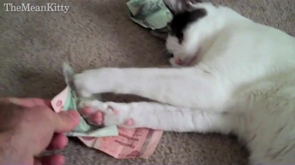 Лошо Коте - Аз имам пари! 