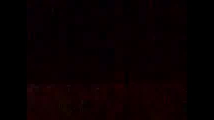 Пиратки на нова година 