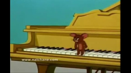 Tom and Jerry - Hip Hop amp; Manele 
