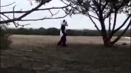 Dude Perfect™ Panda Episode 2