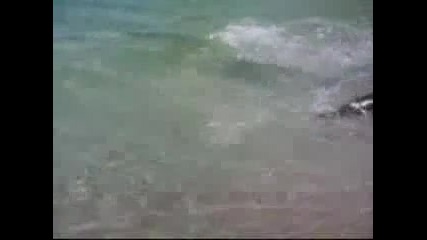 H2o Just Add Water Сезон 3 епизод 3 част 1 
