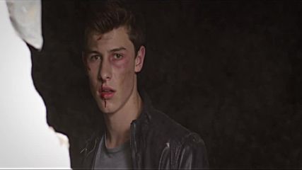 Shawn Mendes - Stitches, 2015