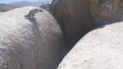 Не се старахувай ще успеешш 