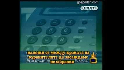 Елексир