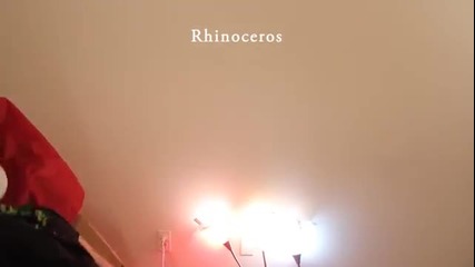 Как Животните ядат храната си