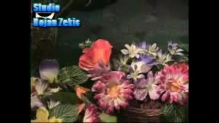 Emanuel Zekic Suzana - Youtube