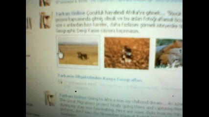 profilite na Tarkan (h) :o (sun) 