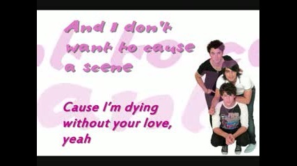 Jonas Brothers - Can t Have You (lyrics ) 
