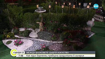 Как един варненец превърна градинката пред блока в рай
