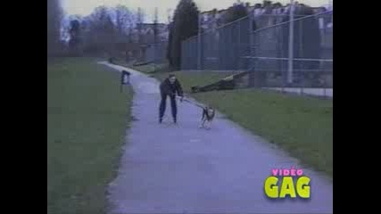 Video Gag - Part 8