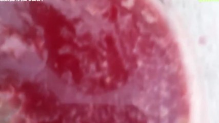 Watch Quickly Before They Delete This Video