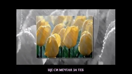 Andreas Kanellos - Gia Sena