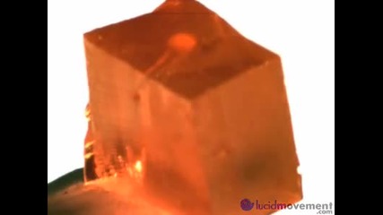 Желето танцува 