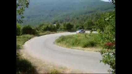 Rally Vida7