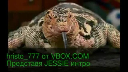 Джеси интро - Бг Лого