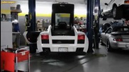 Lamborghini Gallardo Rsc Velocesport Titanium Exhaust