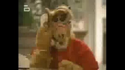 Alf - Детегледач