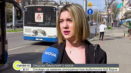 Кампания за хуманно отношение към животните във Варна