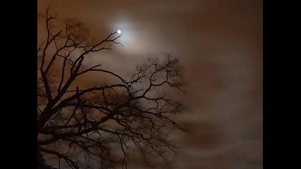 En Aranjuez Con Tu Amor - Il Divo 