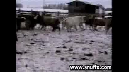 Спорт 
