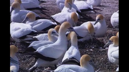 естествена природа - natural environment