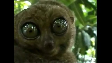 Много големи о4и :д 