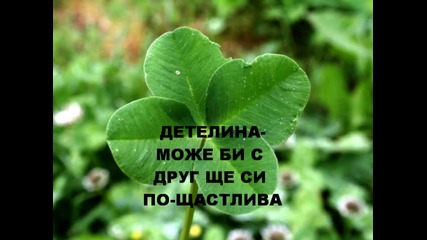 Значението На Цветята-релакс