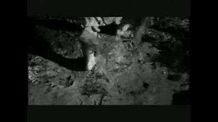 Bella & Edward - What hurts the most