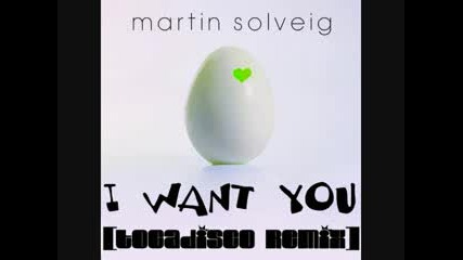 Martin Solveig - I Want You (tocadisco Remix)