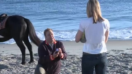 Kevin James Zookeeper Interview