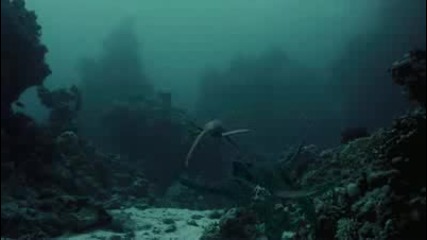 Sea Rex 3d journey to a prehistoric world imax 3d official 